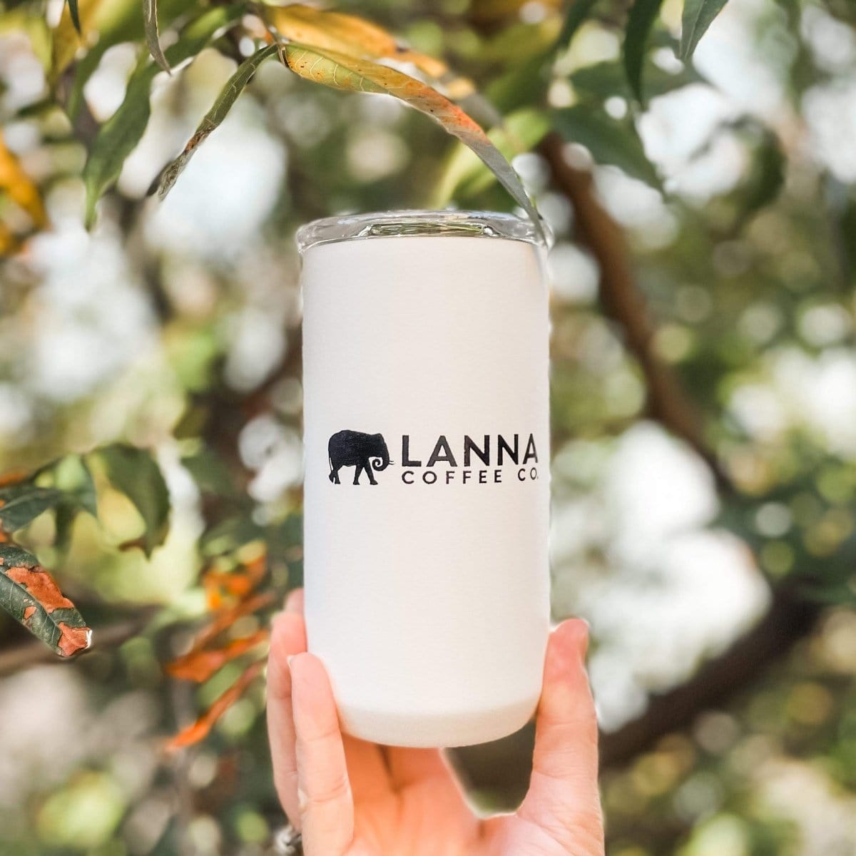 
                  
                    Lanna Coffee Co. Tumbler only Lanna Everyday Tumbler
                  
                