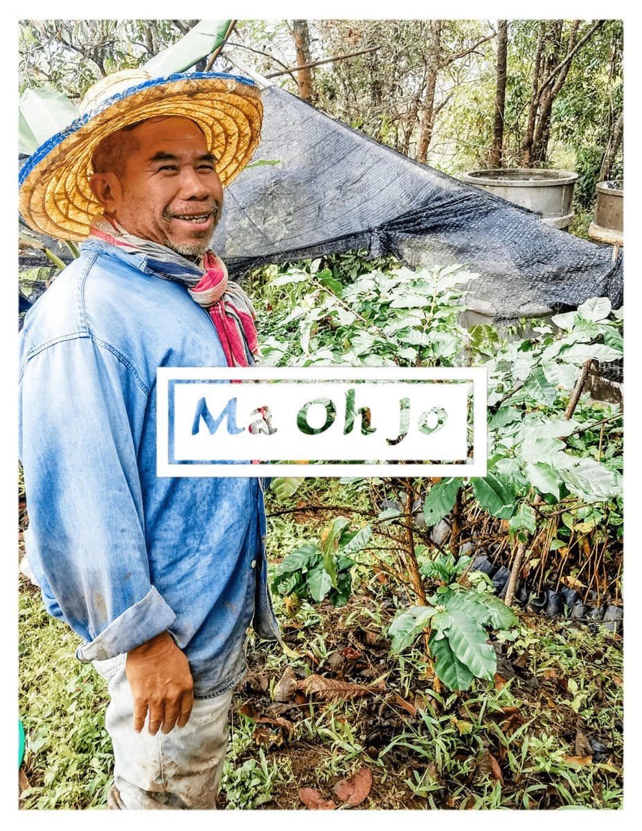 
                  
                    Ma Oh Jo - 12 oz. Whole Bean - Lanna Coffee Co.
                  
                